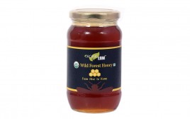 Organic LRM Wild Forest Honey   Glass Jar  500 grams